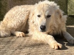 Sole 6 anni Tranquillo e Pacato - Foto n. 4
