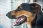 Zoe, Carattere Riflessivo e Cuore da Conquistare - Foto n. 4