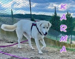 Karma Giovane in Cerca di un Lieto Fine - Foto n. 1