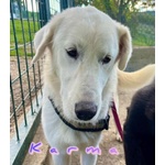 Karma Giovane in Cerca di un Lieto Fine - Foto n. 2