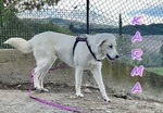 Karma Giovane in Cerca di un Lieto Fine - Foto n. 3