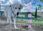 Karma Giovane in Cerca di un Lieto Fine - Foto n. 4