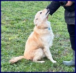 Lucky Cotone 6 anni Adora le Persone Dinamiche - Foto n. 5