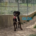 Gilda 4anni Buona con Tutti! - Foto n. 2
