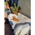 Mollica 7anni - 4kg - un po' Diffidente! - Foto n. 2