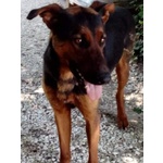 Hubert Buono con Tutti! Adora i Bambini - Foto n. 2