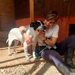 Bria Vuole Tante Coccole! - Foto n. 2