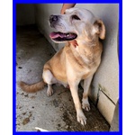 Big ben 8-9anni Dolce Solare Coccolone - Foto n. 3