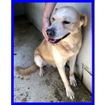 Big ben 8-9anni Dolce Solare Coccolone - Foto n. 4