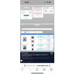 Cuccioli di Pitbull - Foto n. 2