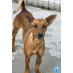 Dea, 5 kg di Coraggio e Simpatia