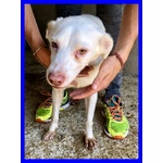 Wafer Dolcissimo Nonnino! - Foto n. 3