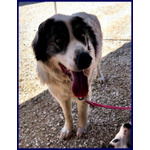 Ggg 5anni Dolcissimo Coccolone - Foto n. 3