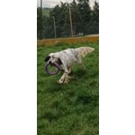 Otello 5anni Adora L'acqua e Giocare! Bravo - Foto n. 4