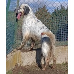 Otello 5anni Adora L'acqua e Giocare! Bravo - Foto n. 6