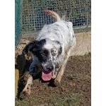 Otello 5anni Adora L'acqua e Giocare! Bravo - Foto n. 7