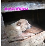 Mascherina 4-5anni Merita un po' di Fortuna - Foto n. 2