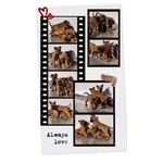 🐶 Pastore Belga Maschio di 1 Settimana (cucciolo) in Vendita a Cosenza (cs) e in Tutta Italia da Allevamento