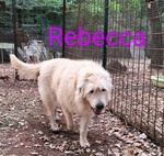 Rebecca 9anni Rimasta sola - Dolcissima! - Foto n. 3