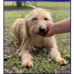 Giacomo 4anni dopo L'inferno è Pronto per una Famiglia - Foto n. 2