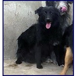 Arabella sui 3anni Timida, ma Anche Curiosa! - Foto n. 3