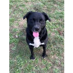 Flo 2anni Bella ed Energica - Foto n. 5