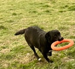 Flo 2anni Bella ed Energica - Foto n. 6