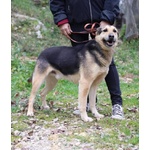 Rex Affettuoso Nonnino - 23kg - Foto n. 3