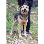 Rex Affettuoso Nonnino - 23kg - Foto n. 4