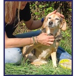 Nonna Polenta Sogna un Divano e Tante Coccole - Foto n. 3