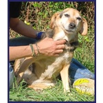 Nonna Polenta Sogna un Divano e Tante Coccole - Foto n. 5
