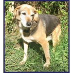 Nonna Polenta Sogna un Divano e Tante Coccole - Foto n. 8