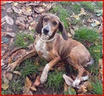 Svitol 5anni Dolcissima e Vivace - Foto n. 7