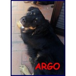 Argo Dolcissimo Patatone 5anni - Foto n. 5