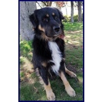 Argo Dolcissimo Patatone 5anni - Foto n. 8