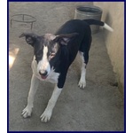 Klizia 3anni Allegra e Simpaticissima - Foto n. 5