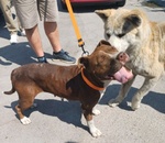 Margot Giovane - Buona con Tutti! - Foto n. 2