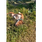 Margot Giovane - Buona con Tutti! - Foto n. 3