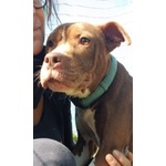 Margot Giovane - Buona con Tutti! - Foto n. 4