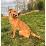 Cleopatra 8 mesi Un'esplosione di Simpatia - Foto n. 4