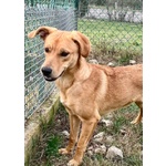 Cleopatra 8 mesi Un'esplosione di Simpatia - Foto n. 5