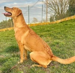 Cleopatra 8 mesi Un'esplosione di Simpatia - Foto n. 6