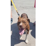 Dalila Giovane, Socievole e Buona con Tutti! - Foto n. 6