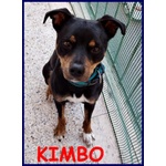 KIMBO dolce piccoletto sempre da solo!