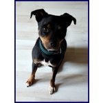 Kimbo Dolce Piccoletto Sempre da Solo! - Foto n. 3