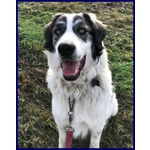 Ggg 4anni Dolcissimo Coccolone - Foto n. 3