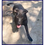 Adorabile Zeudi sui 3 anni - tg Contenuta - Foto n. 2