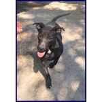 Adorabile Zeudi sui 3 anni - tg Contenuta - Foto n. 3