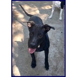 Adorabile Zeudi sui 3 anni - tg Contenuta - Foto n. 5