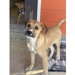 Agata e Nestor - Foto n. 3